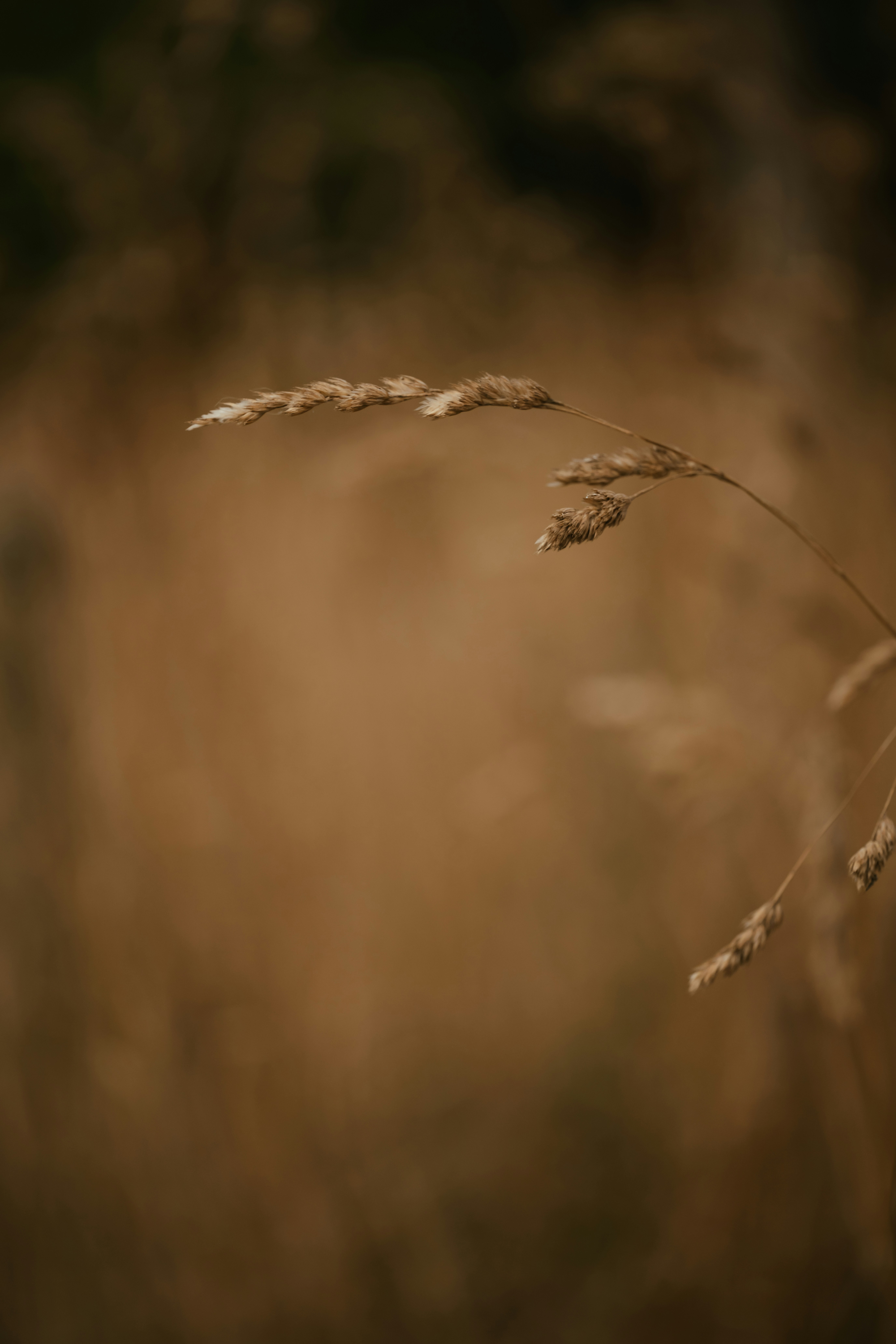 annie-spratt-QyvB2ebgMPY-unsplash